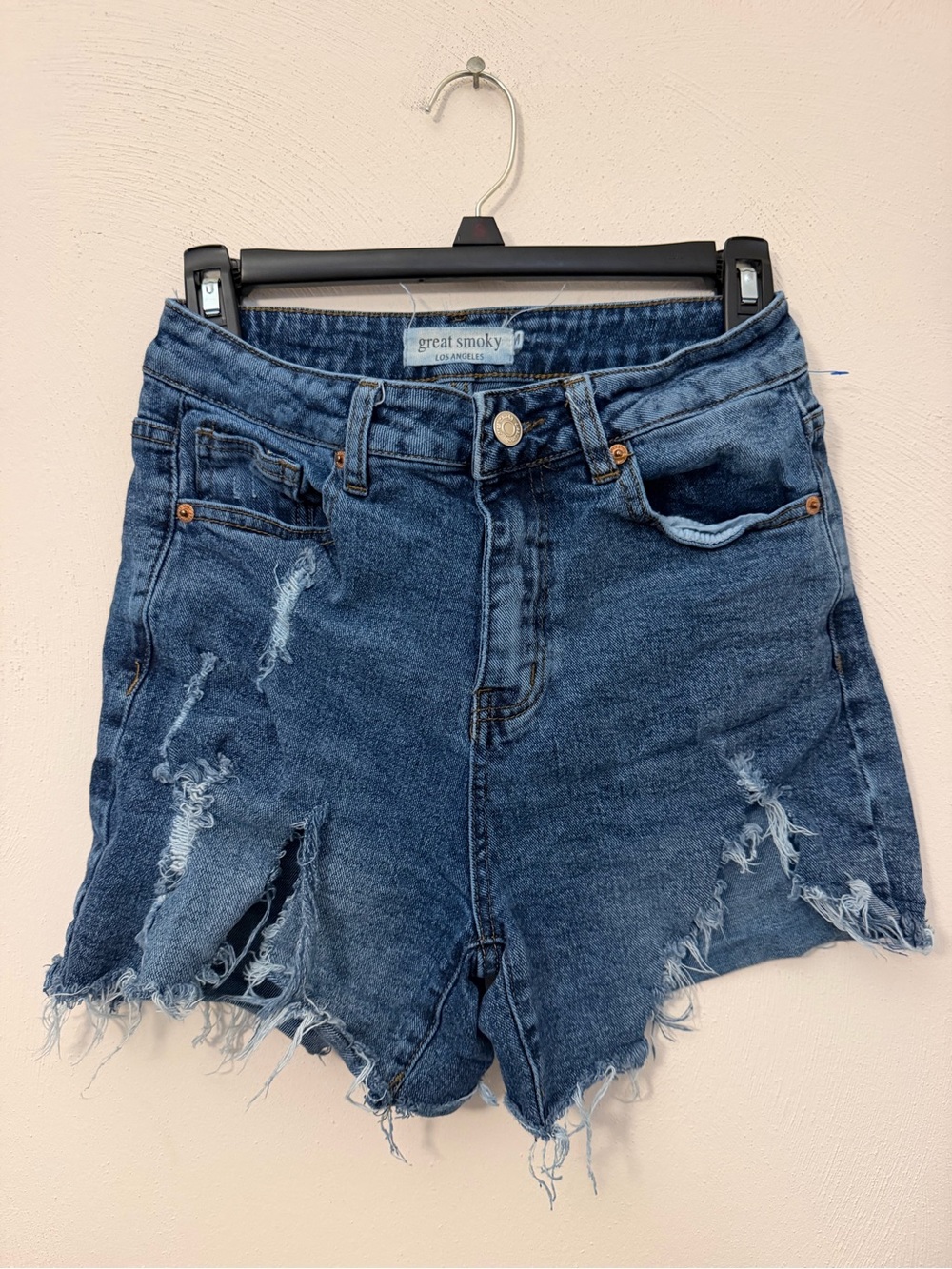 100 - Great Smoky Dark Wash Distressed High-Rise Jean Shorts